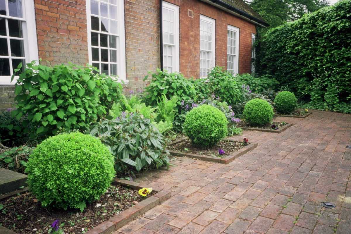 Front Garden Design Portfolio Nigel L Philips Garden Design