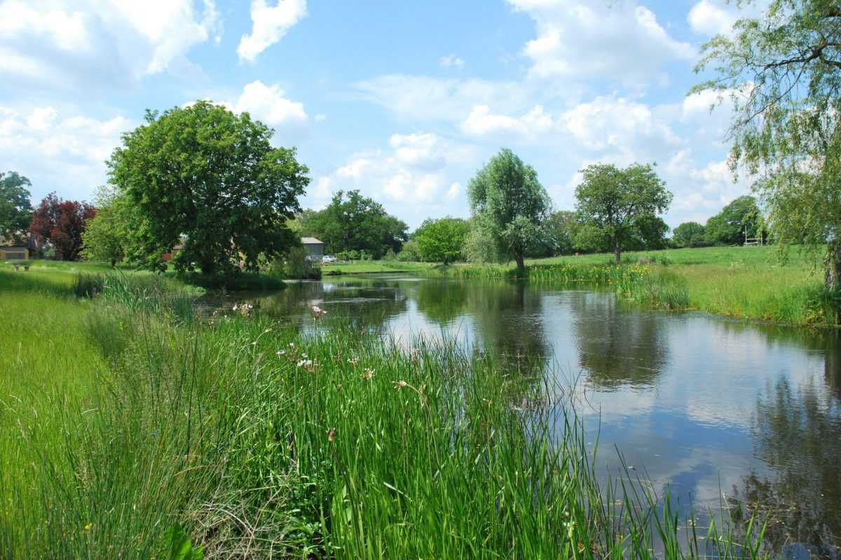 Dynamic Country Estate Garden Design Portfolio | Nigel L Philips Garden ...